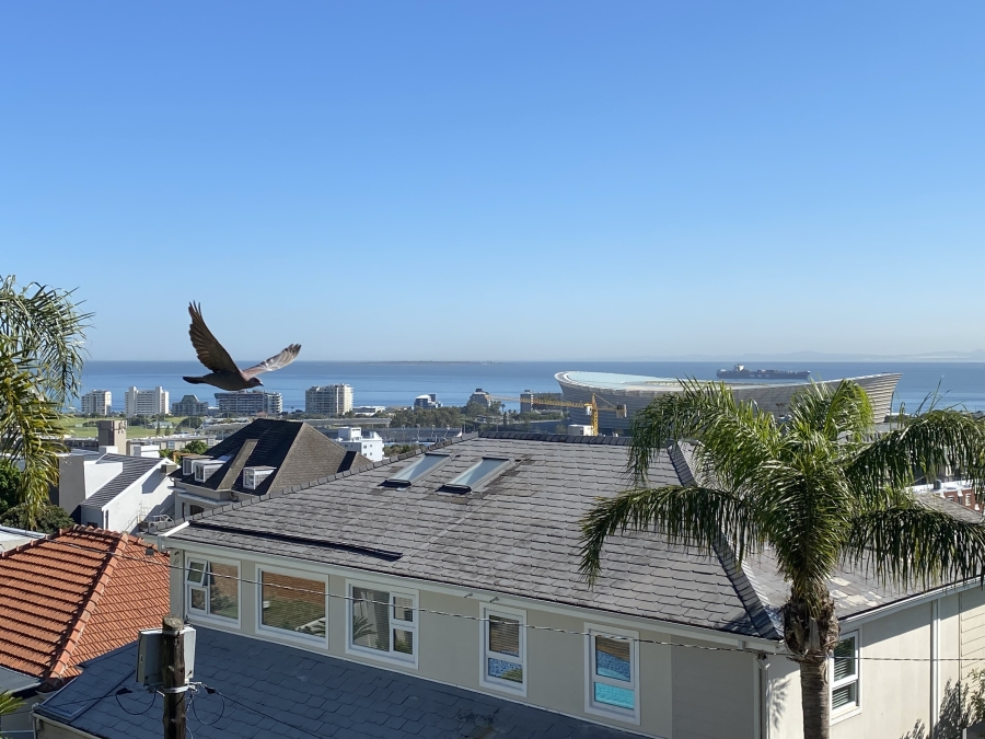 To Let 1 Bedroom Property for Rent in Green Point Western Cape